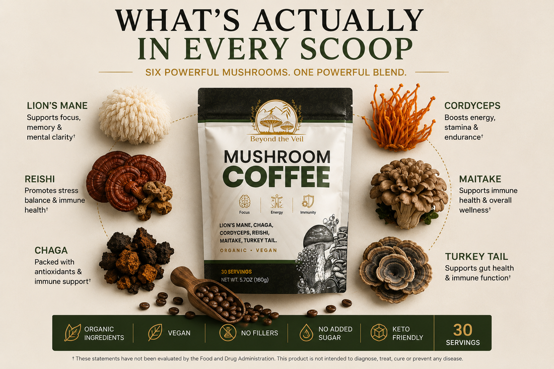 Functional Mushrooms Aren’t Magic. They’re better than that.