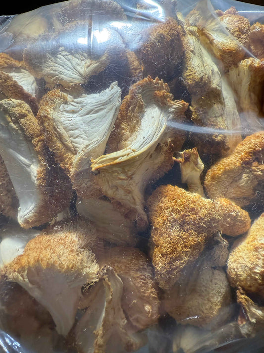 Dried mushrooms in a clear plastic bag