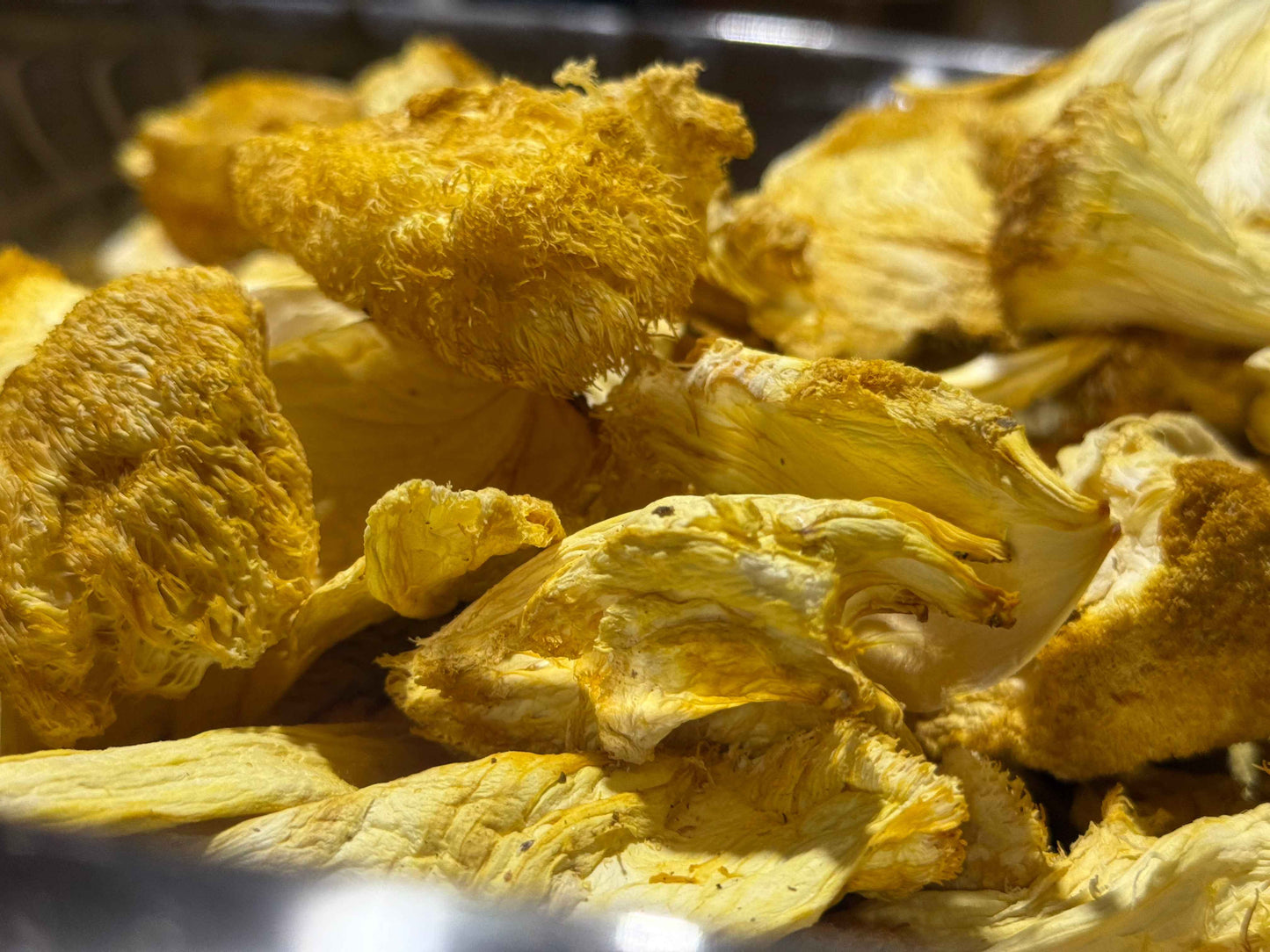 Close-up of dried yellow mushrooms on a metal surface