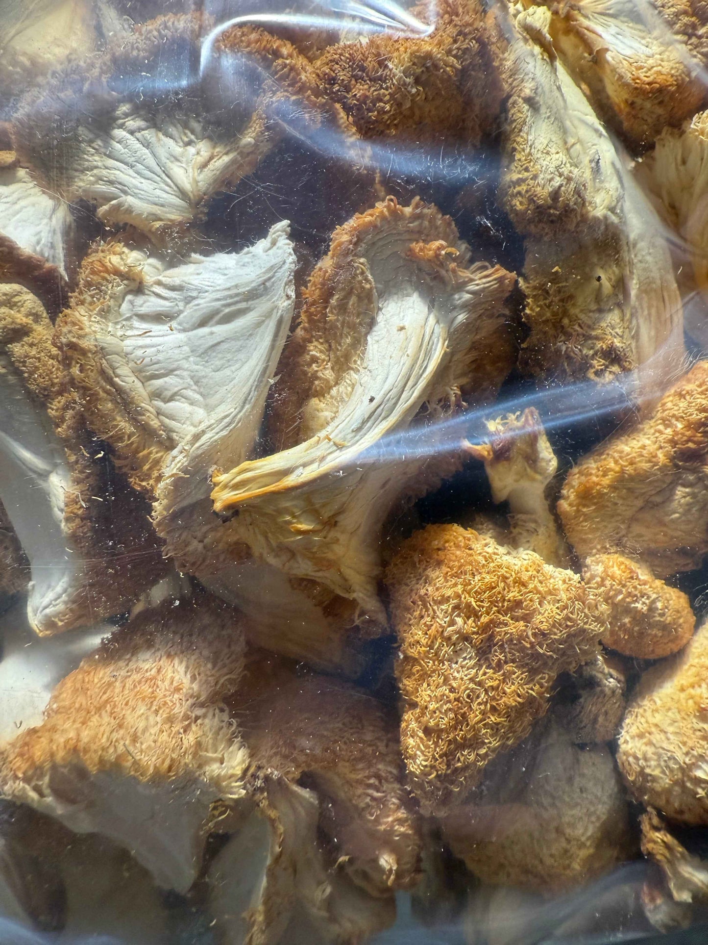 Close-up of dried mushrooms in a clear plastic bag