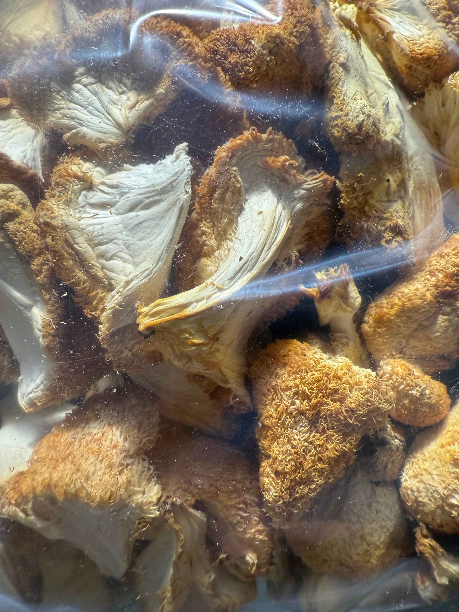 Close-up of dried mushrooms in a clear plastic bag