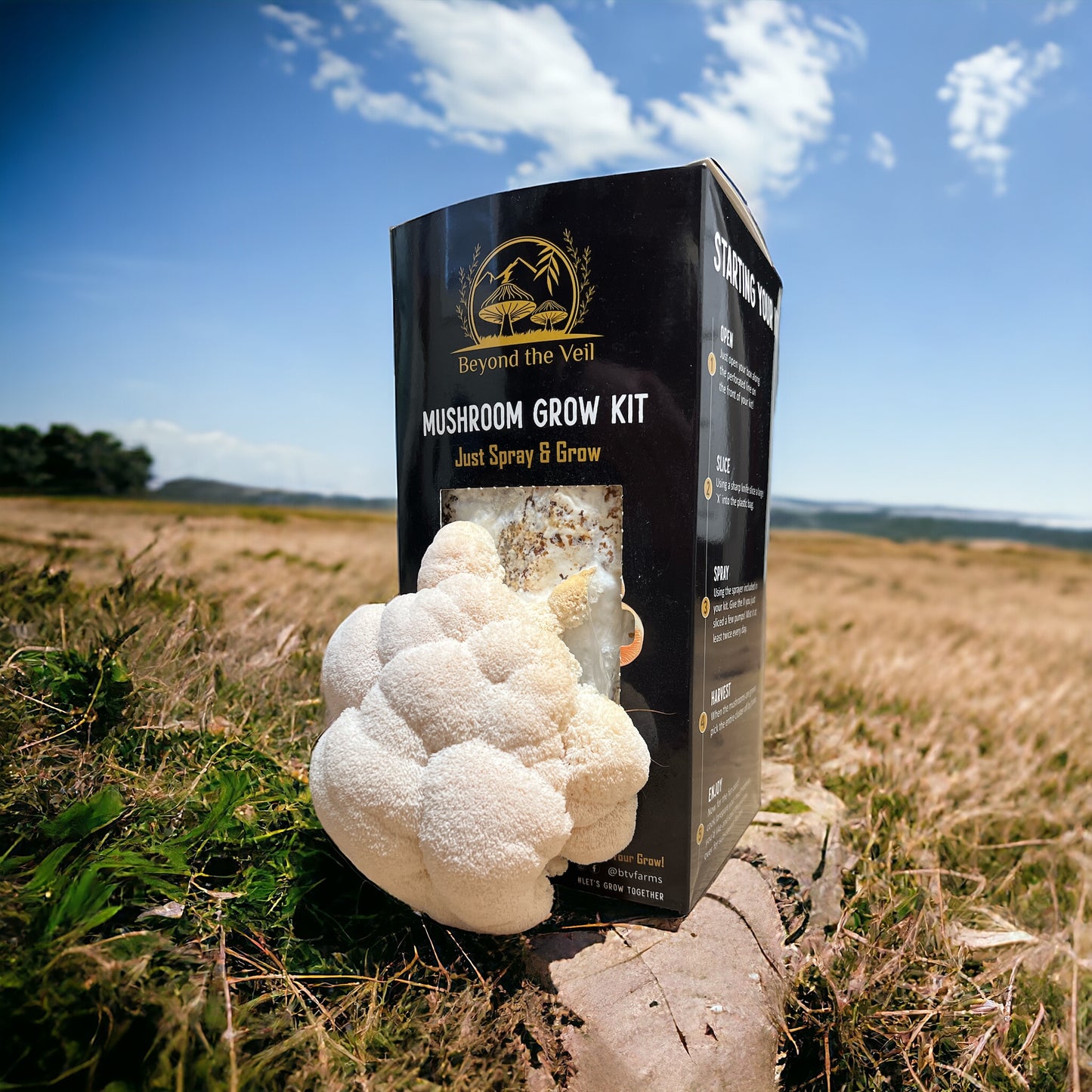 Lion's Mane Mushroom Grow Kit