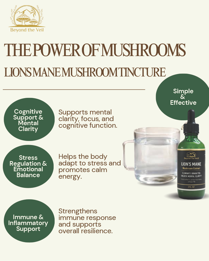 Lions Mane mushroom tincture with benefits listed on a white background