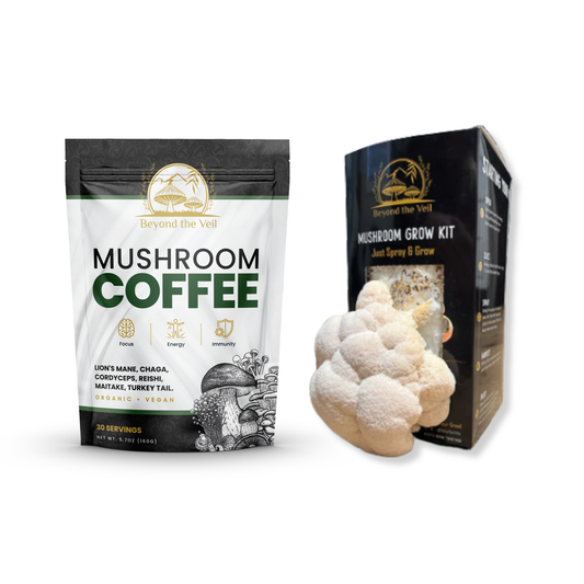 Mushroom coffee package and grow kit on a white background