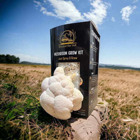 Mushroom grow kit packaging with a mushroom on a rock in a field