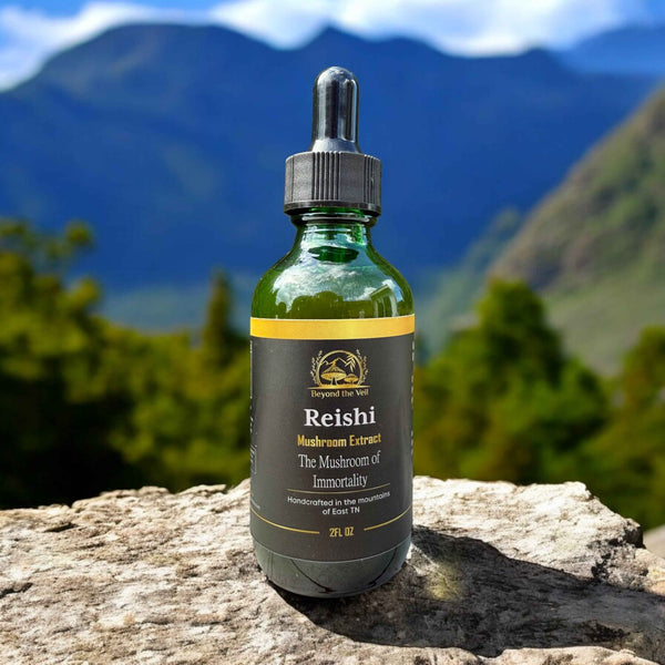 Bottle of Reishi mushroom extract on a rock with mountains in the background